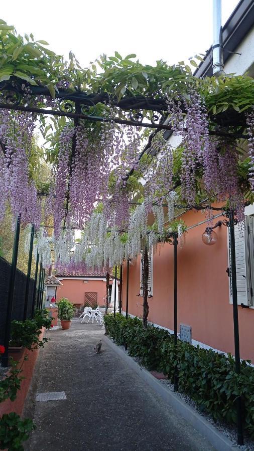 Casa Vacanze Mimose Palinuro Bagian luar foto