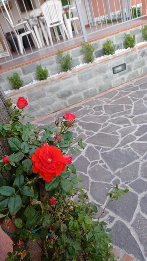 Casa Vacanze Mimose Palinuro Bagian luar foto