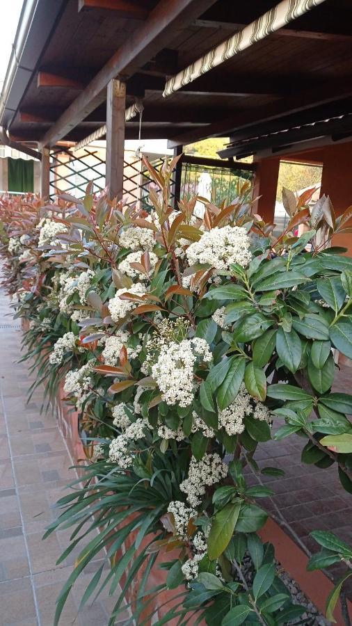 Casa Vacanze Mimose Palinuro Bagian luar foto