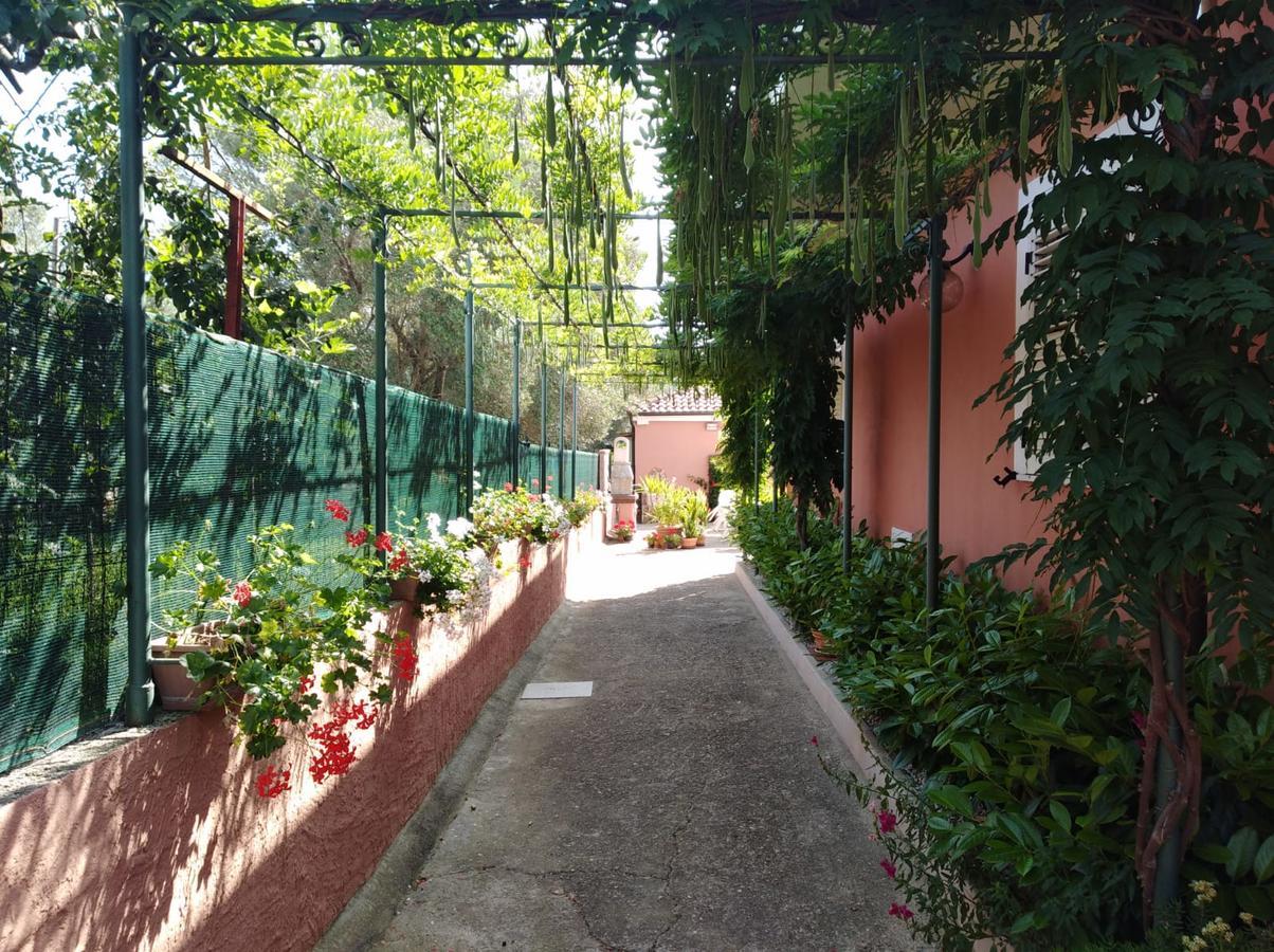 Casa Vacanze Mimose Palinuro Bagian luar foto