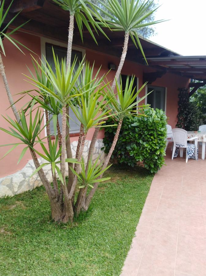 Casa Vacanze Mimose Palinuro Bagian luar foto