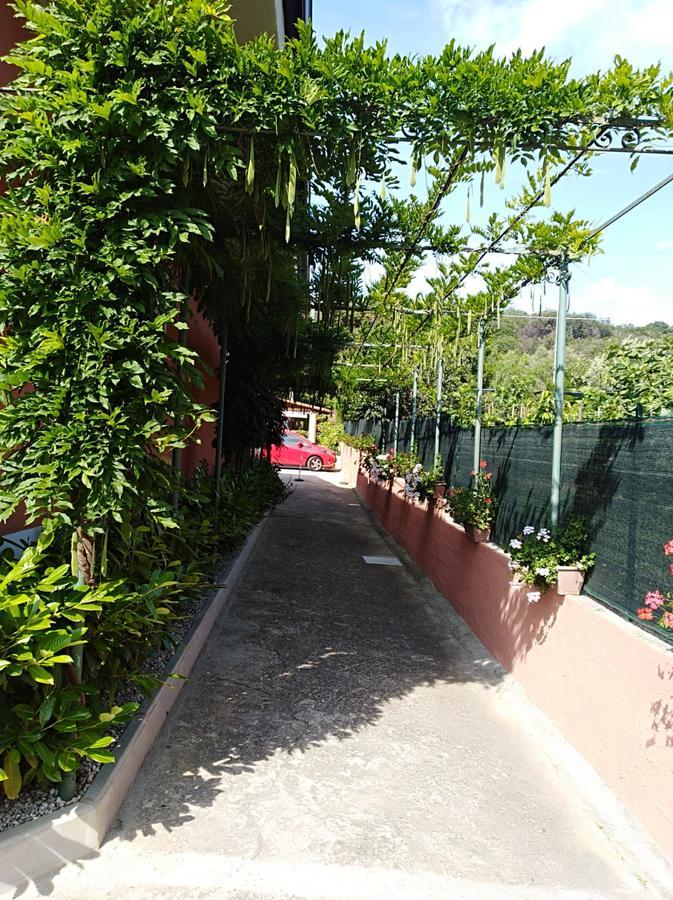 Casa Vacanze Mimose Palinuro Bagian luar foto
