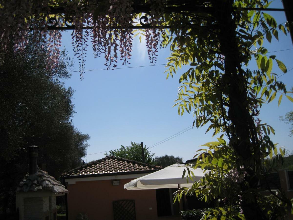 Casa Vacanze Mimose Palinuro Bagian luar foto